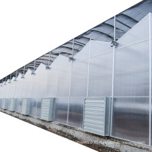 Invernadero de la lámina de policarbonato agrícola de múltiples extensiones